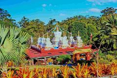 Chenrezig Buddhist Centre & Big Love Café Lunch Experience | 7th January 2027