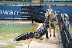 Australia Zoo Day Tour & Warrior Restaurant Breakfast | 2nd July 2026
