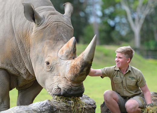 Explore Australia Zoo with Behind-the-Scenes Wildlife Hospital Tour. Includes Morning Tea and Gourmet Packed Lunch  I August 20