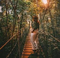 3-Day O'Reilly's Rainforest Retreat | 17-19 May, 2026
