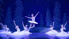 Experience "The Nutcracker" at QPAC with Door-to-Door Service and Morning Tea