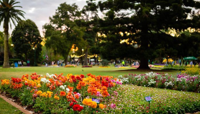 4-Day Toowoomba Carnival of Flowers Tour: Gardens, Spring Bluff & More | 21- 24 September 2025