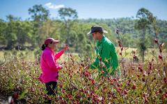 Explore Woolooga Farm Kitchen and Gympie’s Gold Rush | 2 March 2025