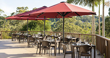 Indulge in Sustainable Cuisine: Join Our Exclusive 2-Course Lunch at Kondalilla Eco Lodge | 16 November 2024