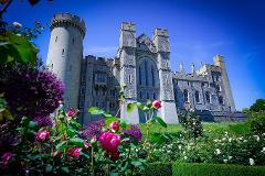 Arundel Castle & Carpet of Flowers Day Trip (Blue Route)
