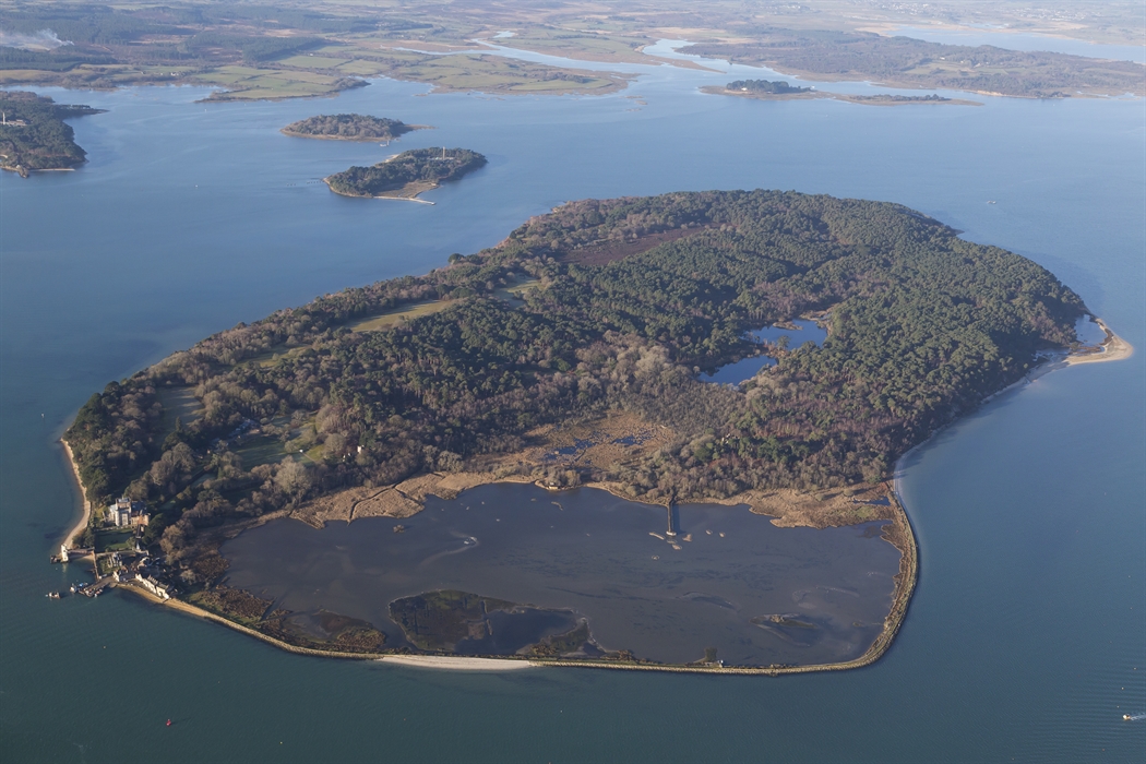 Poole & Brownsea Island (Gold Route)