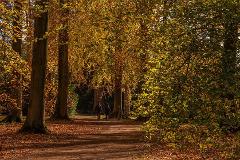 Westonbirt Arboretum Day Trip (Red Route)