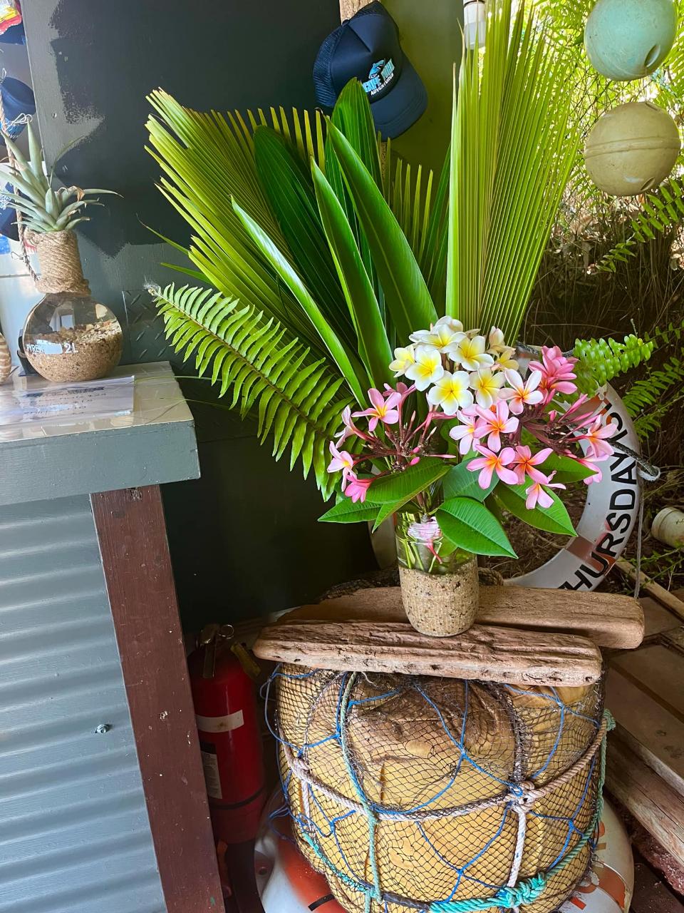 Albany Island Day Trip (Departing Punsand Bay) - Cape York Adventures ...