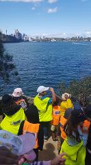 Berry Island - excursion for schools, pre-schools and vacation care groups