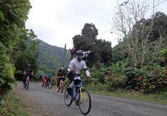 Discovery Blue Mountain on a Bicycle Trail Tour from Kingston