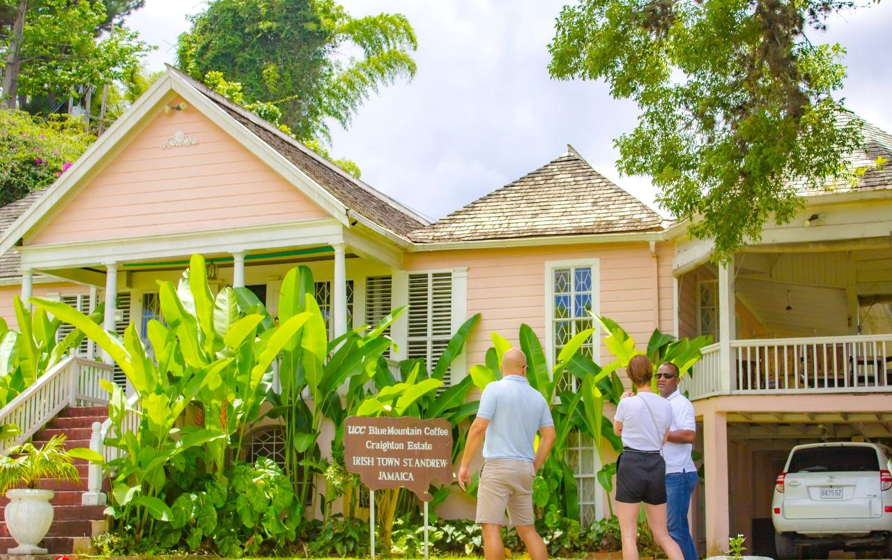Blue Mountain Naturalistic Exploration Tour from Kingston