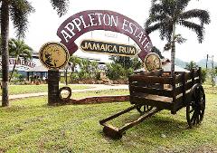 Pelican & Appleton Estate Jamaican Rum Tour from Kingston