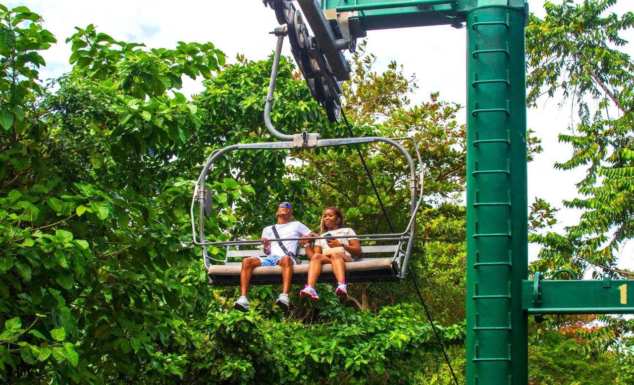 Sky Explorer at Mystic Mountain & Dunns River Falls Tour from Kingston