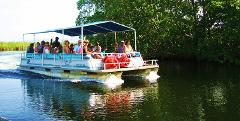 Exploring the Black River Safari & Y.S. Falls Tour from Montego Bay/Falmouth 