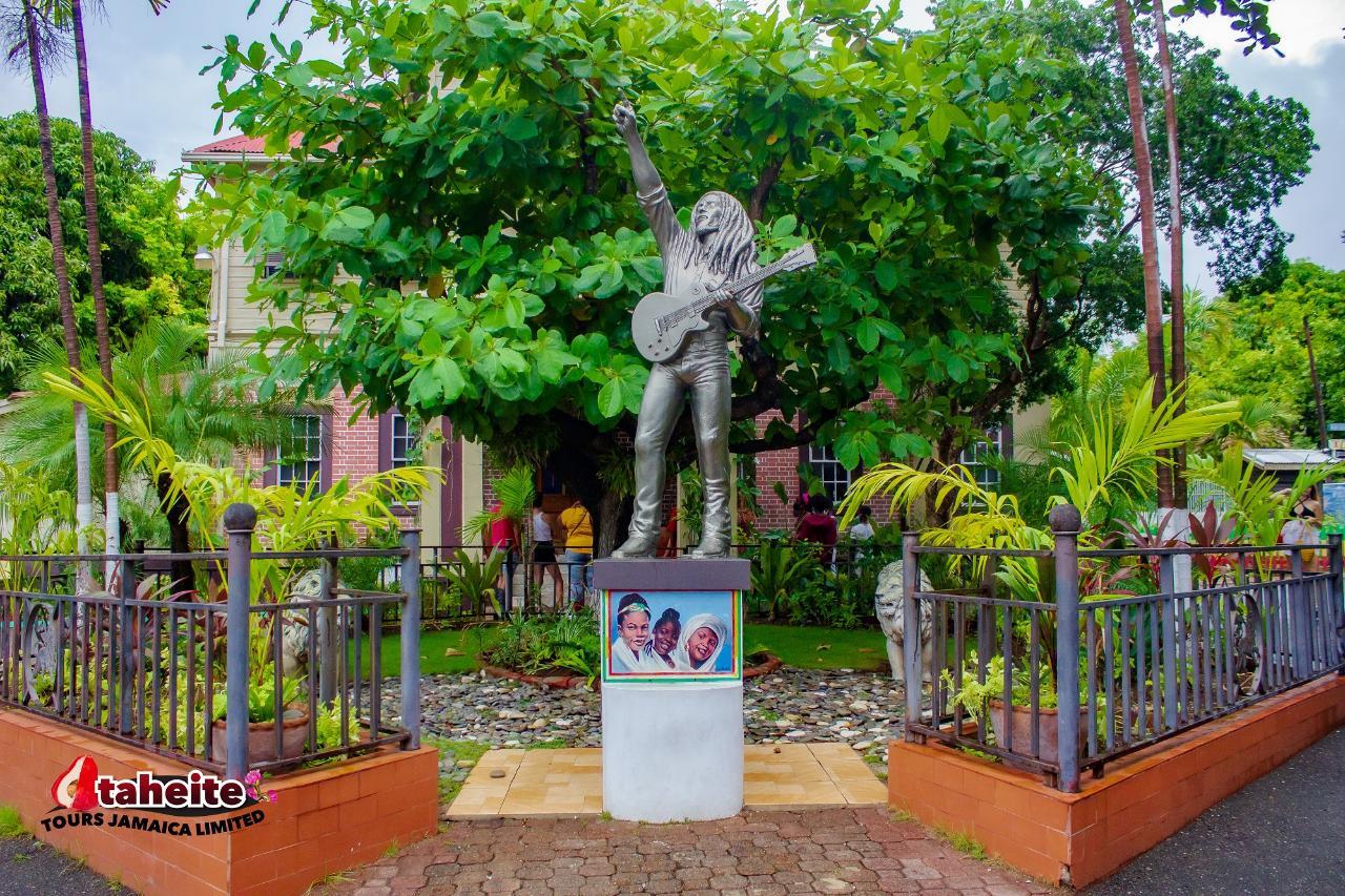 Reggae Jamrock Experience Combo Tour from Negril