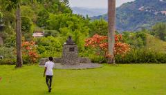Blue Mountain Naturalistic Exploration Tour from Negril