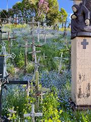 Public day trip to Hill of Crosses crosses ( 2 countries in 1 day )