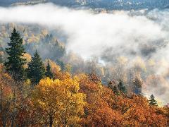 Sigulda, Turaida castle & Gauja National park day tour