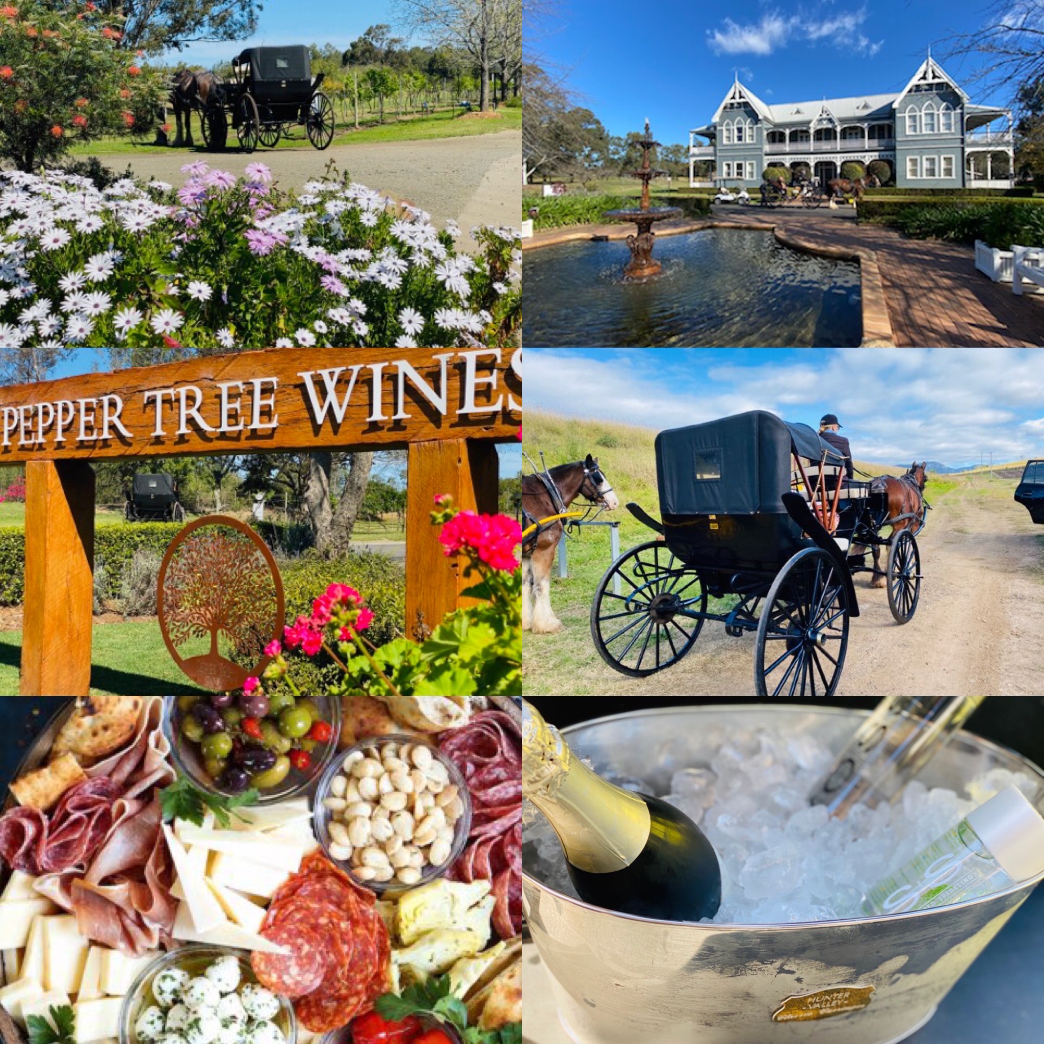 book a wine tour hunter valley