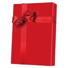 Half Day Exclusive Couples Carriage Charter Gift Certificate for Two