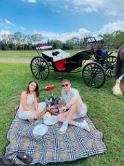 Full Day Exclusive Horse and Carriage Couples Wine Tour