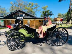 Half Day Exclusive Horse and Carriage Couples Wine Tour