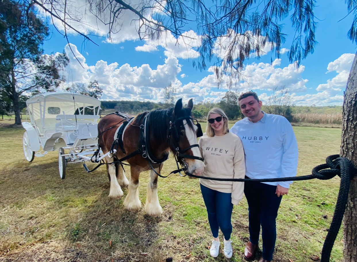 Horse and Carriage Proposal Package 