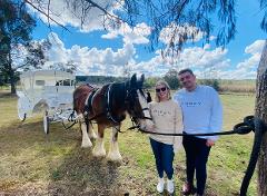 Horse and Carriage Proposal Package 