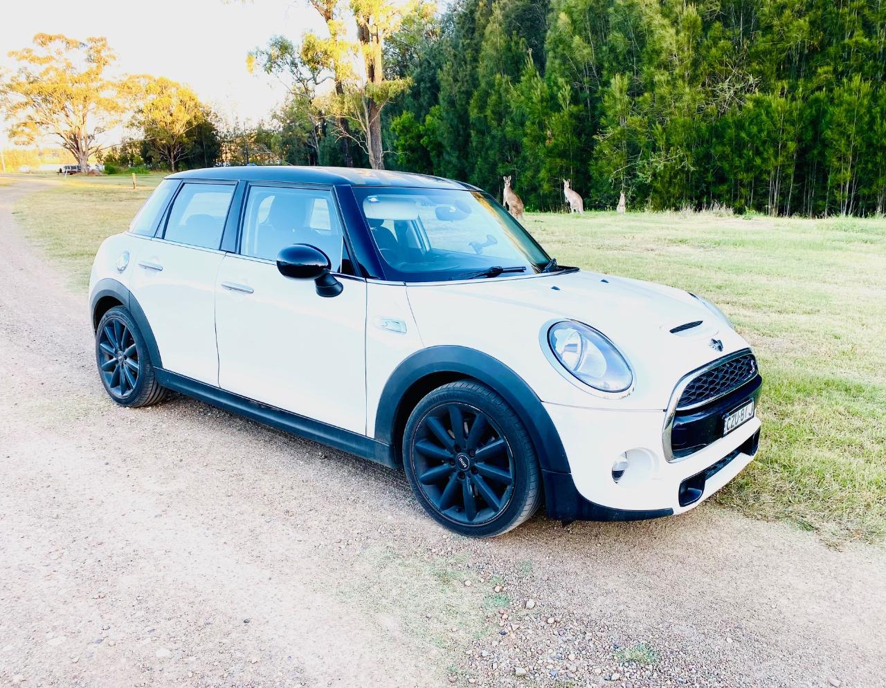 Full Day Couples Mini Cooper S Wine Tour