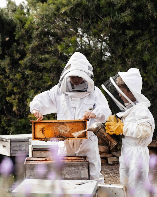 Beekeeping Experience (110min)