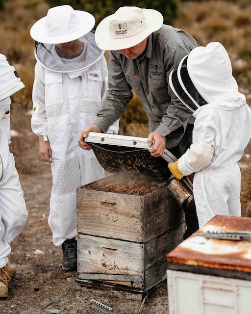 Beekeeping Experience