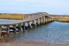 Cape Cod Tour