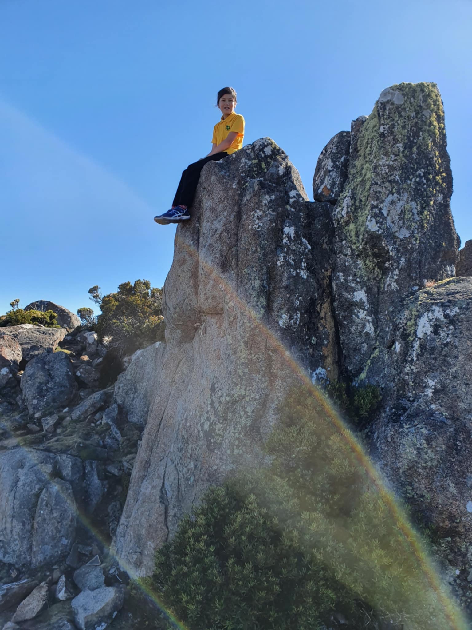 Mount Wellington Afternoon Small Group Driving Tour