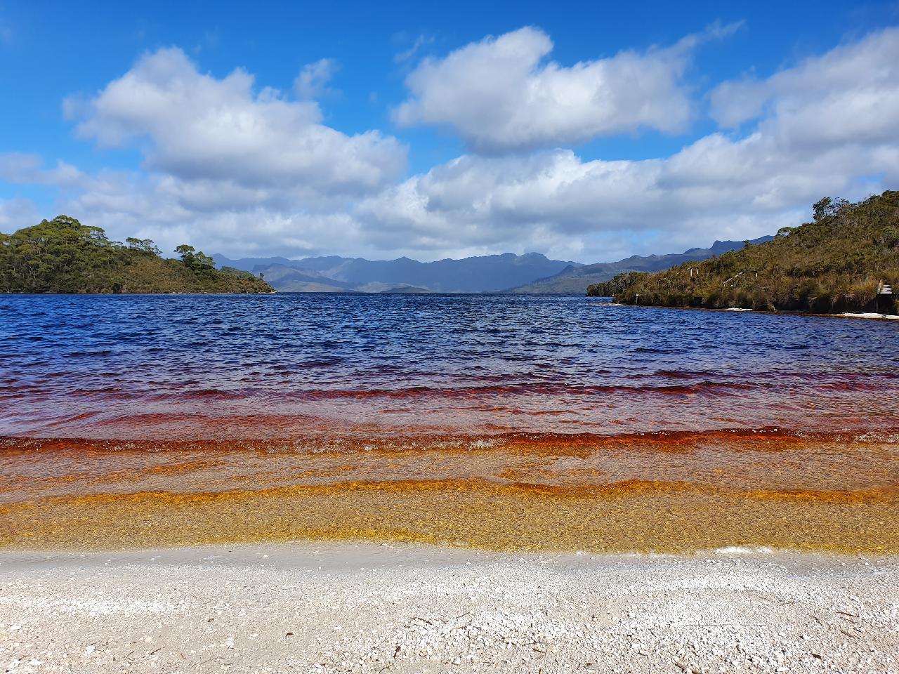 Gordon Dam & Lake Pedder Wilderness Day Tour | Explore Tasmania's Southwest