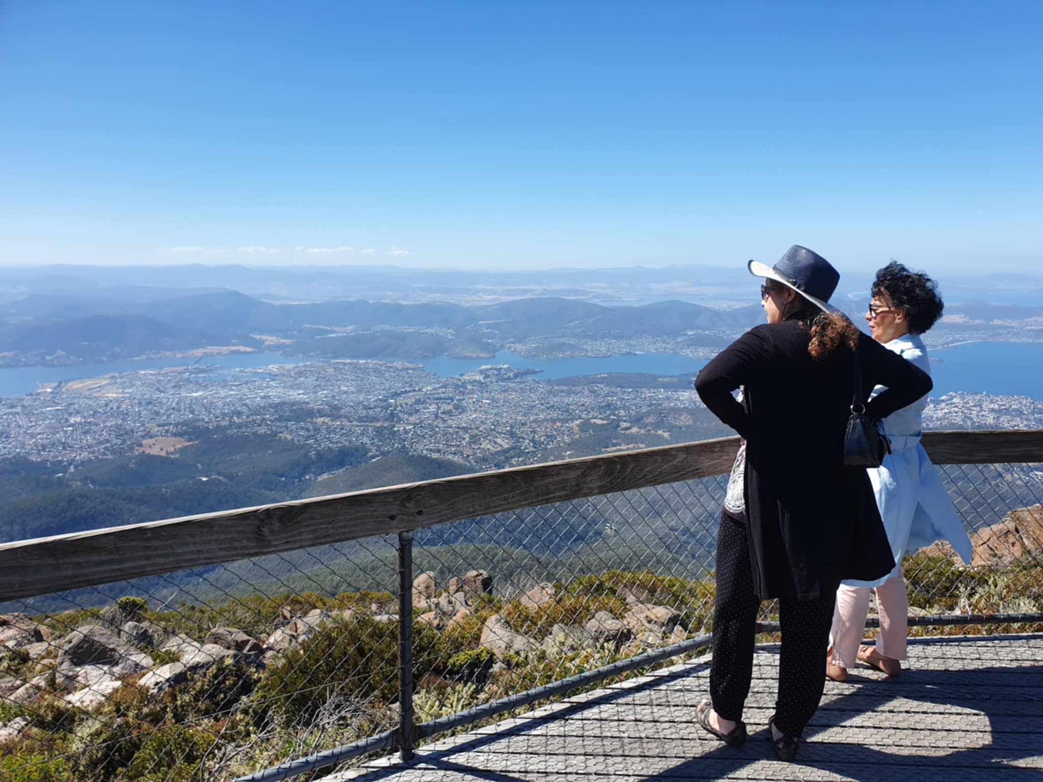 Mount Wellington Afternoon Small Group Driving Tour