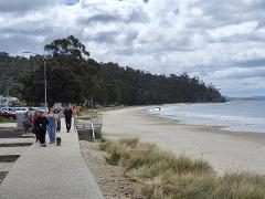 Hobart, Bush and Beach Escape (2 hour Small Group Tour) 