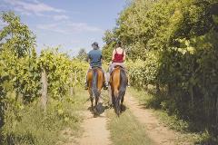 Wine Tasting and Guided Horseback Ride in the Tuscan Vineyards