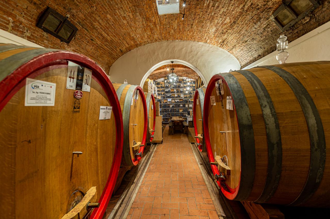Fattoria Svetoni Wine Resort: Private and Tuscan Wine Tasting in Montepulciano — Chianti Classico - Photo 10