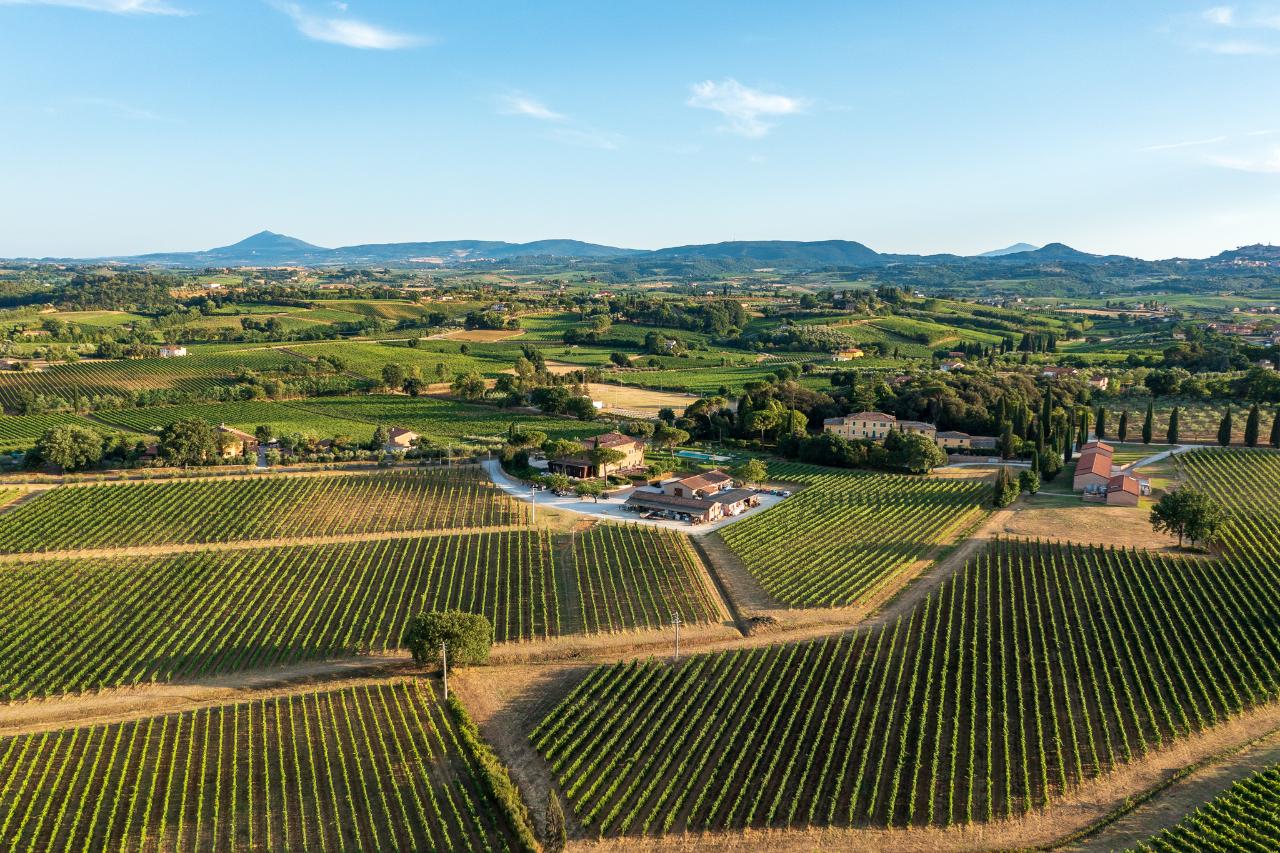 Fattoria Svetoni Wine Resort: Wine Lunch in a Tuscan Winery — Chianti Classico - Photo 9