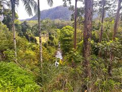2027 Northern Rivers NSW