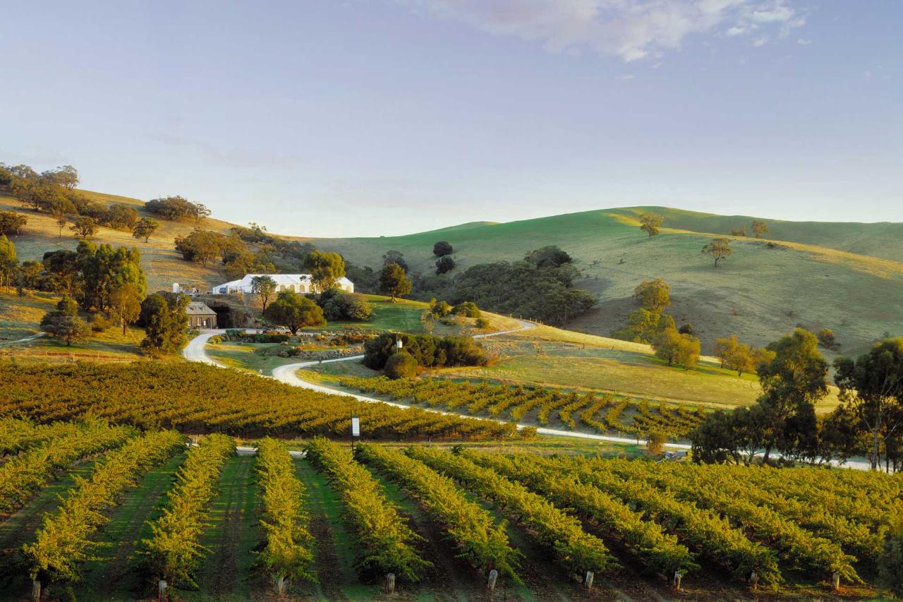 2027 SA Food & Wine Tour
