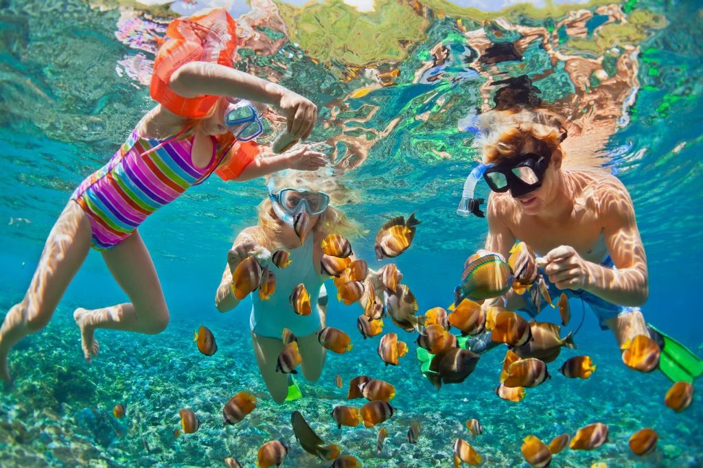 ROSE ISLAND SWIMMING PIGS & BEACH SNORKELING EXPERIENCE - GROUP TOUR