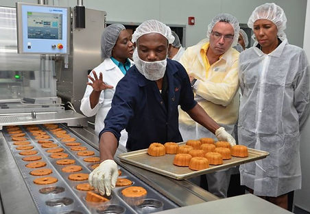 NASSAU HISTORIC ATV & BUGGY TOUR