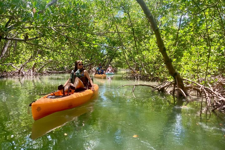 ECO PEDAL KAYAK TOUR | MARCO ISLAND & NAPLES, FLORIDA