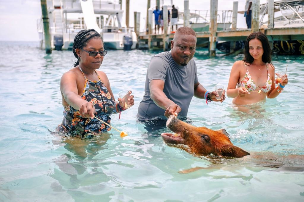 SWIMMING PIGS OF ROSE ISLAND WATER TAXI NASSAU BAHAMAS - GROUP TOUR