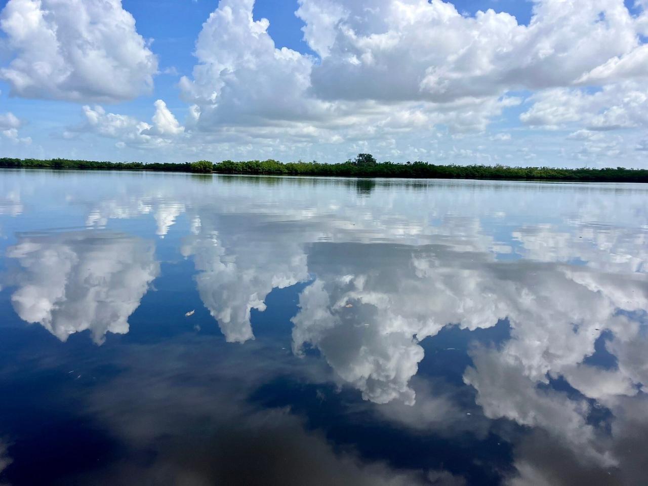 ECO PEDAL KAYAK TOUR | MARCO ISLAND & NAPLES, FLORIDA