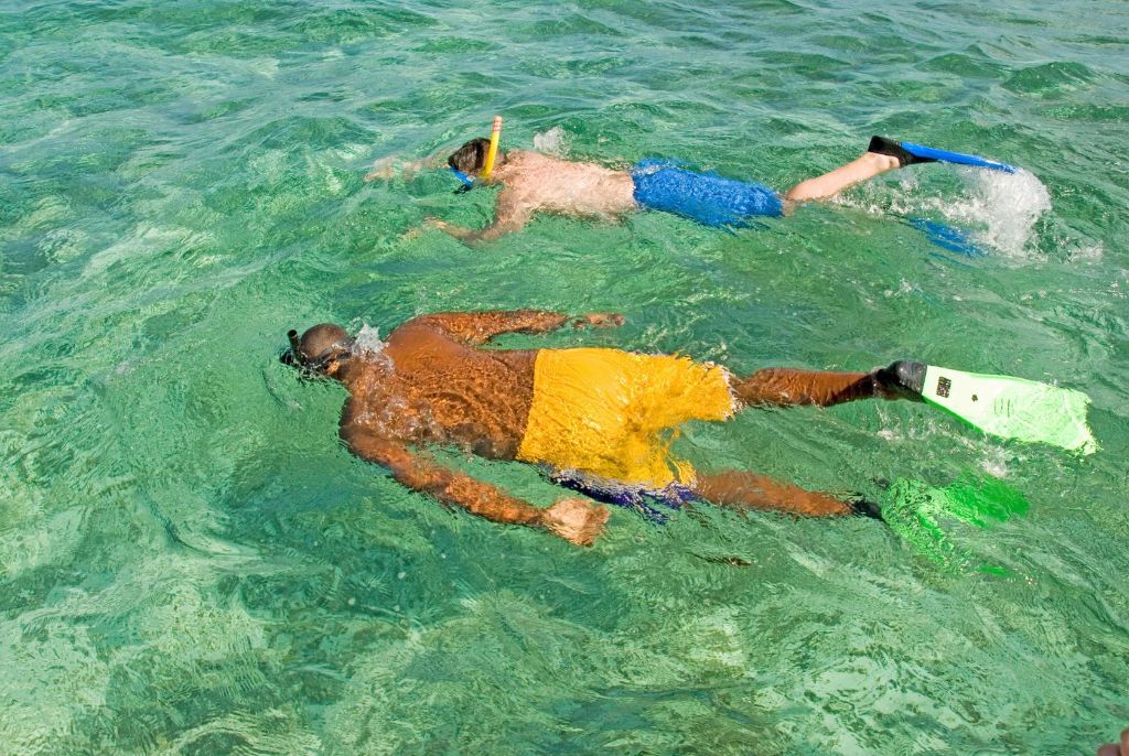 ROSE ISLAND SWIMMING PIGS & BEACH SNORKELING EXPERIENCE - GROUP TOUR