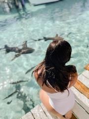 FLY TO THE EXUMA SWIMMING PIGS - PRIVATE 7 SEATER PLANE TOUR NASSAU TO STANIEL CAY