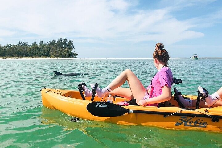 ECO PEDAL KAYAK TOUR | MARCO ISLAND & NAPLES, FLORIDA