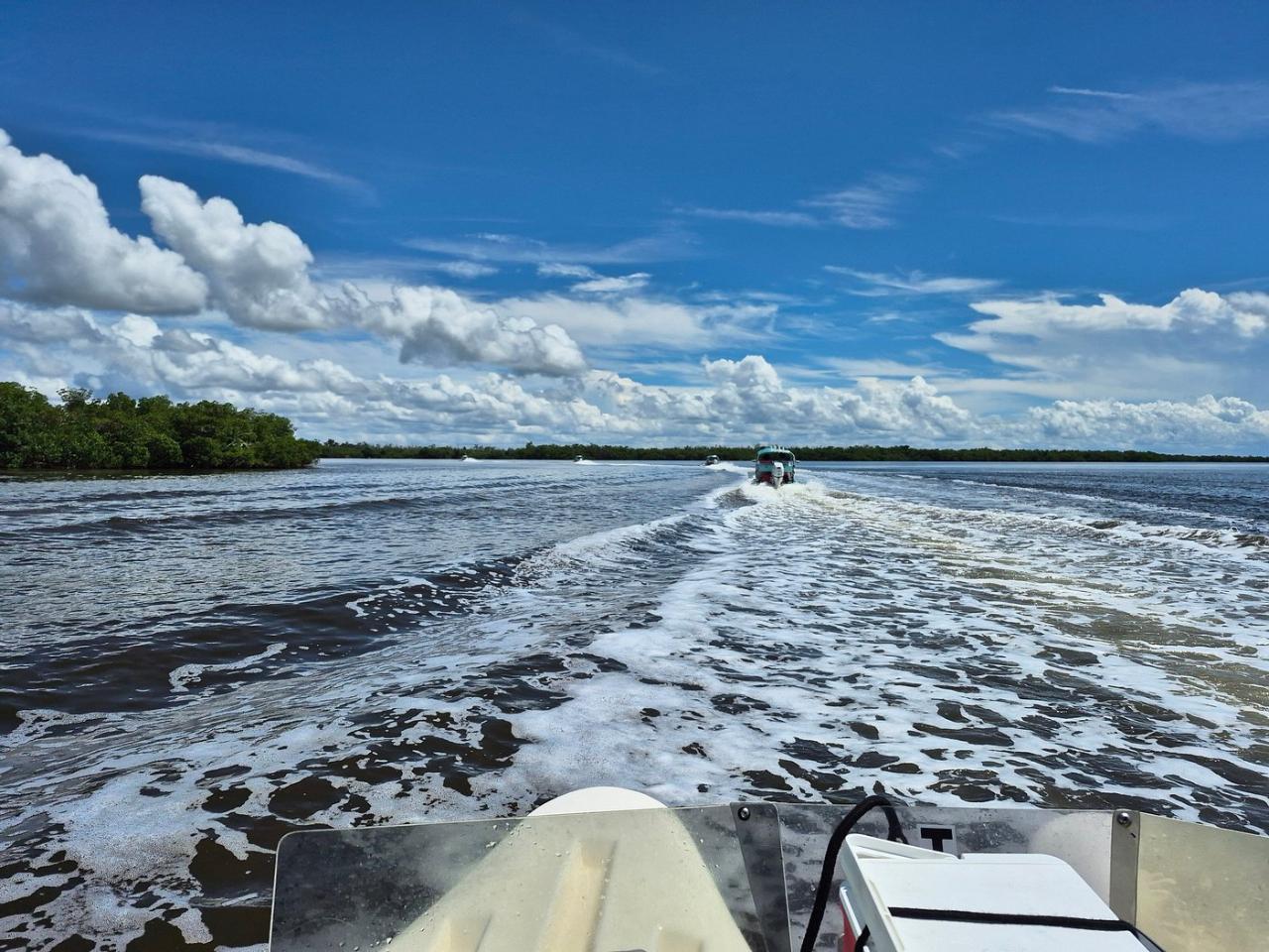 SELF-DRIVING CAT TOURS OF THE 10,000 ISLANDS | MARCO ISLAND & NAPLES, FLORIDA